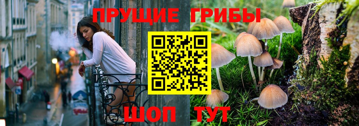 Псилоцибиновые грибы Cubensis Гулькевичи