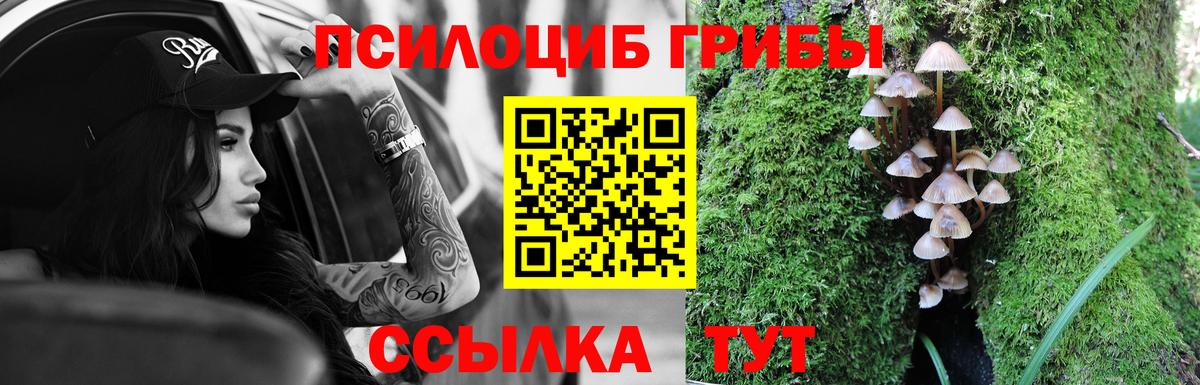 Галлюциногенные грибы ЛСД  Вход с VPN  Гулькевичи 